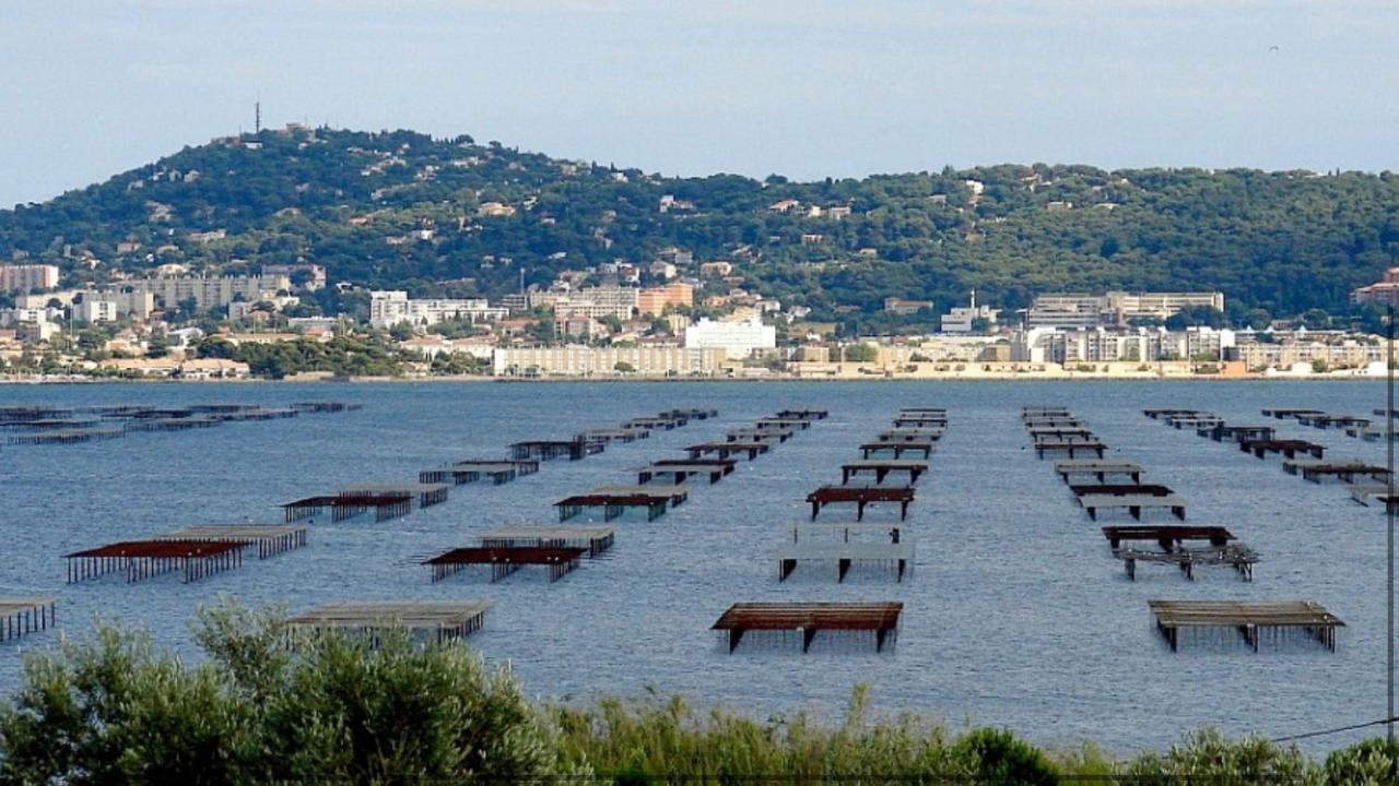 Sublime T2 Tout Confort A Sète Dış mekan fotoğraf